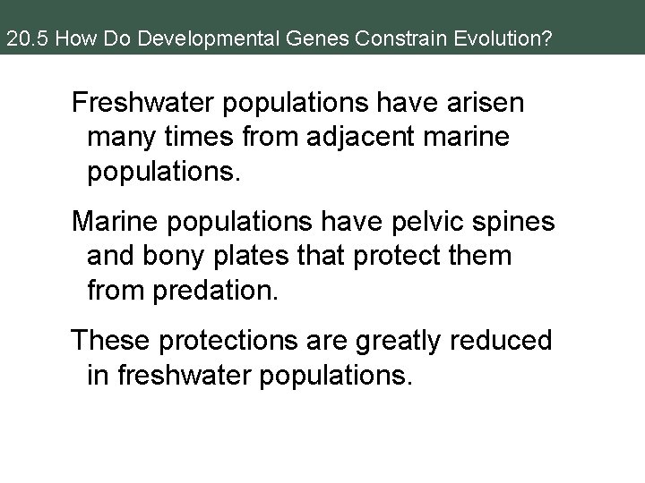 20. 5 How Do Developmental Genes Constrain Evolution? Freshwater populations have arisen many times