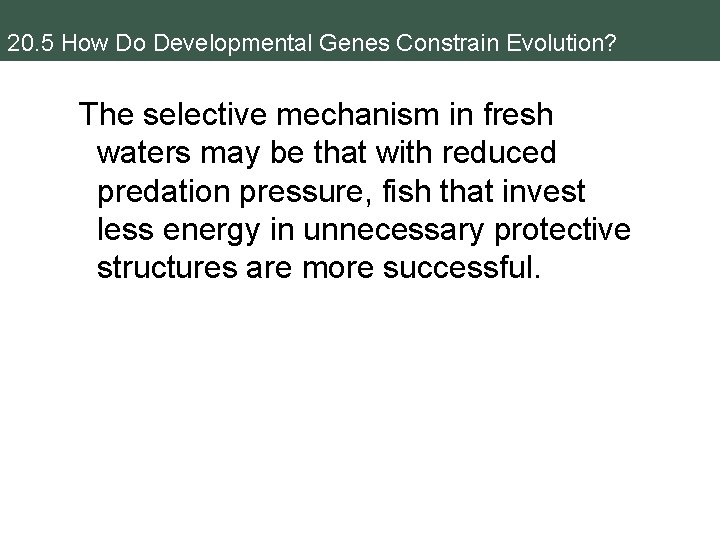 20. 5 How Do Developmental Genes Constrain Evolution? The selective mechanism in fresh waters