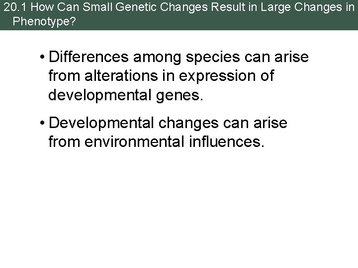 20. 1 How Can Small Genetic Changes Result in Large Changes in Phenotype? •