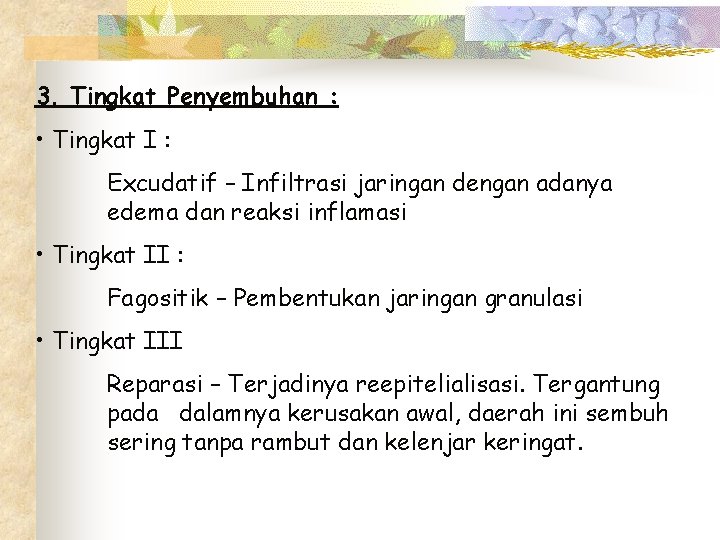 3. Tingkat Penyembuhan : • Tingkat I : Excudatif – Infiltrasi jaringan dengan adanya