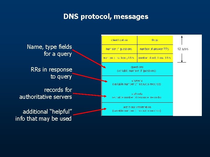 DNS protocol, messages Name, type fields for a query RRs in response to query DNS protocol, messages Name, type fields for a query RRs in response to query