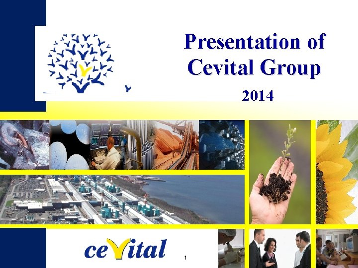 Presentation of Cevital Group 2014 1 