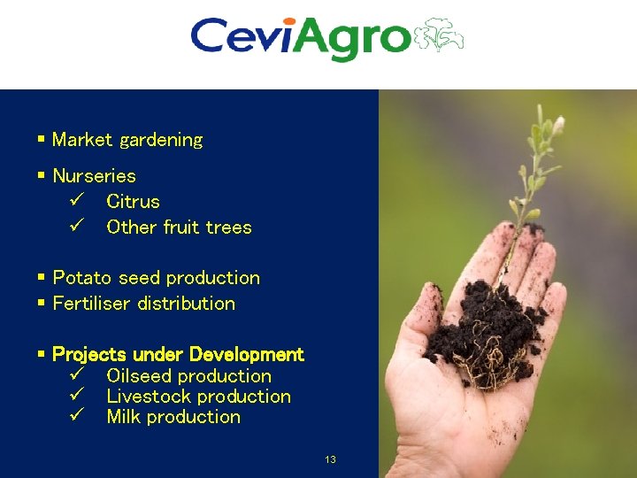 § Market gardening § Nurseries ü Citrus ü Other fruit trees § Potato seed