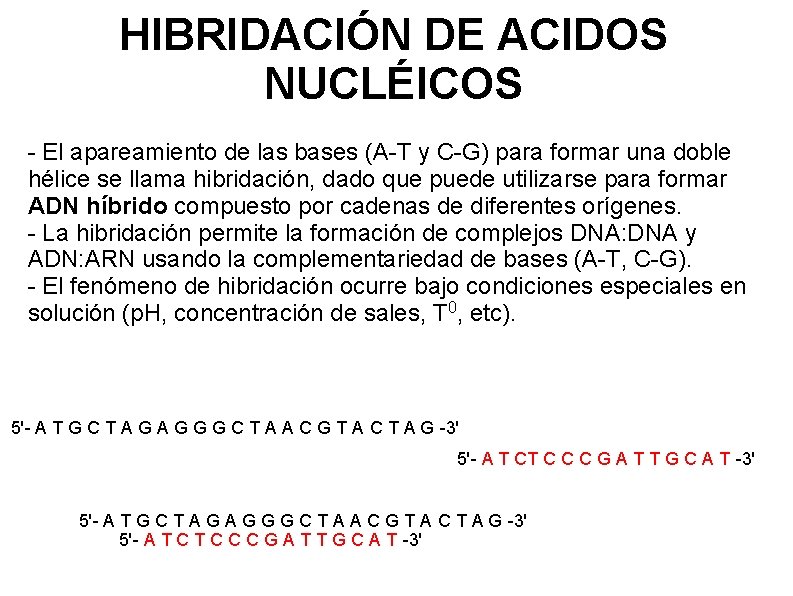 HIBRIDACIÓN DE ACIDOS NUCLÉICOS - El apareamiento de las bases (A-T y C-G) para