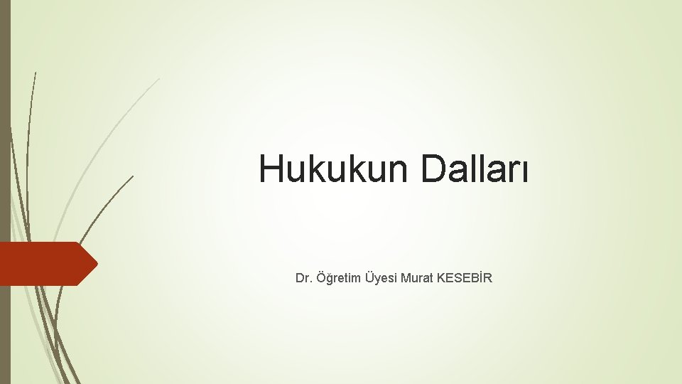 Hukukun Dalları Dr. Öğretim Üyesi Murat KESEBİR 