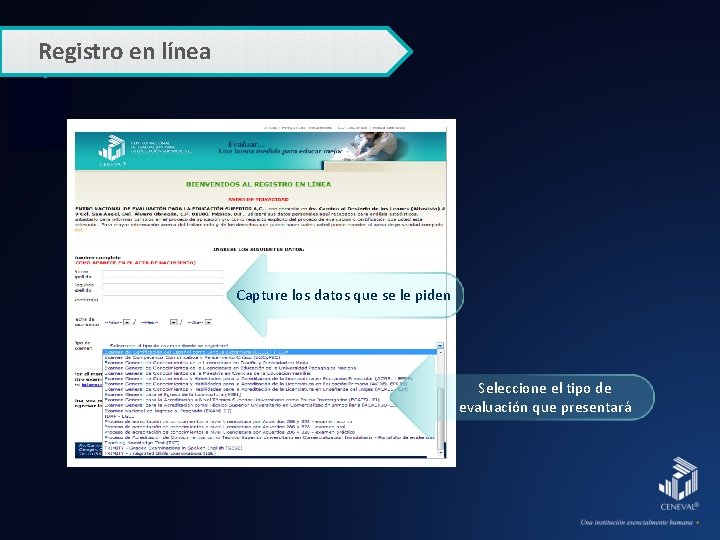 Registro en línea Capture los datos que se le piden Seleccione el tipo de