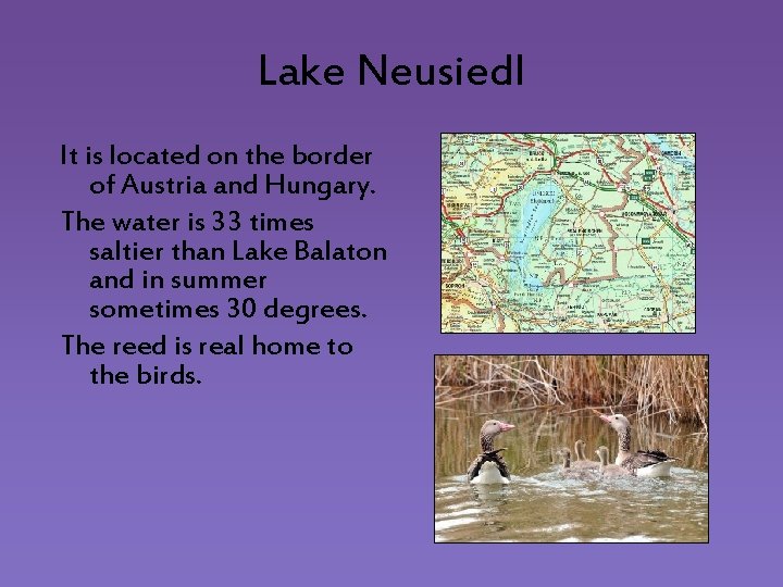 Lake Neusiedl It is located on the border of Austria and Hungary. The water