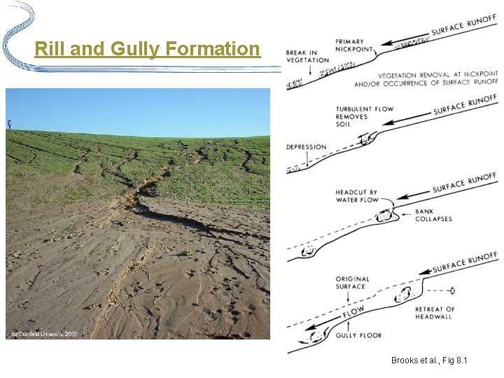 Soil Erosion Rill and Gully Formation Brooks et al. , Fig 8. 1 