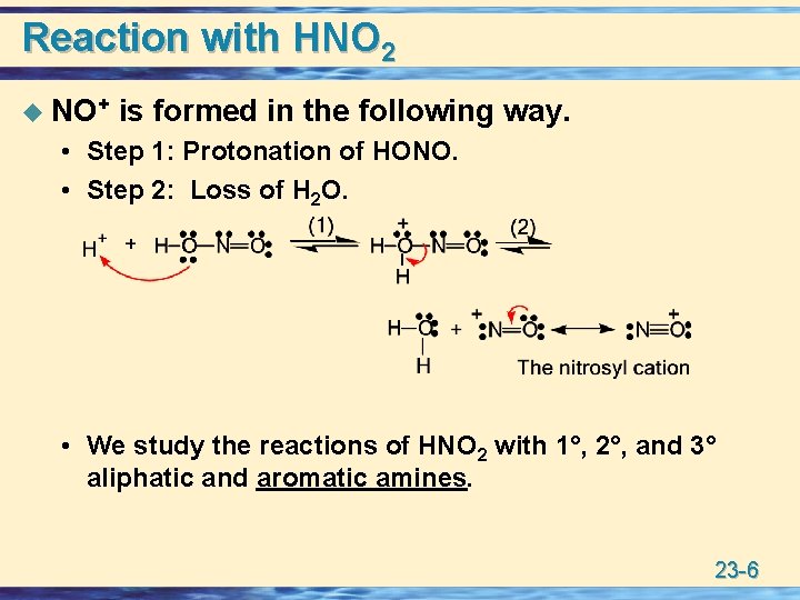 Reaction with HNO 2 u NO+ is formed in the following way. • Step