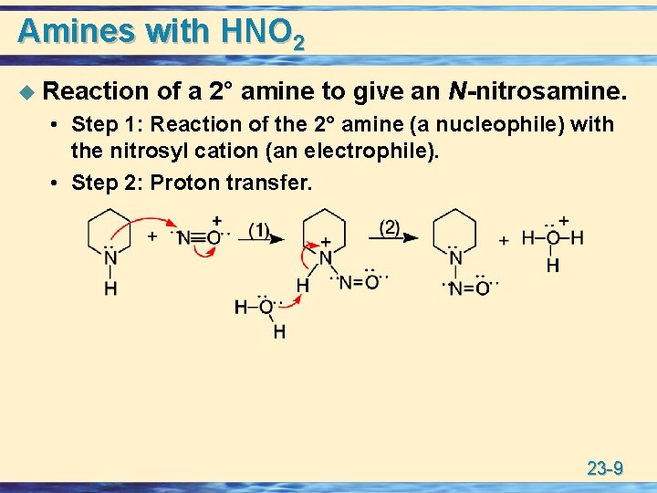 Amines with HNO 2 u Reaction of a 2° amine to give an N-nitrosamine.