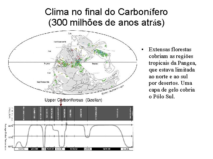 Clima no final do Carbonífero (300 milhões de anos atrás) • Extensas florestas cobriam