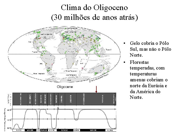 Clima do Oligoceno (30 milhões de anos atrás) • Gelo cobria o Pólo Sul,