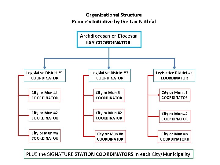 Organizational Structure People’s Initiative by the Lay Faithful Archdiocesan or Diocesan LAY COORDINATOR Legislative