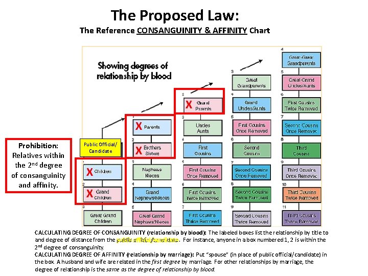 The Proposed Law: The Reference CONSANGUINITY & AFFINITY Chart X X Prohibition: Relatives within