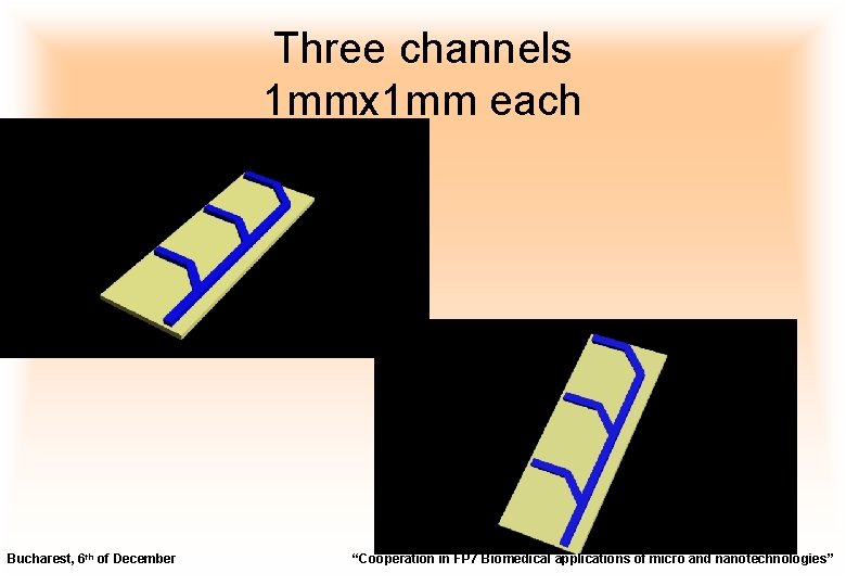 Three channels 1 mmx 1 mm each Bucharest, 6 th of December “Cooperation in
