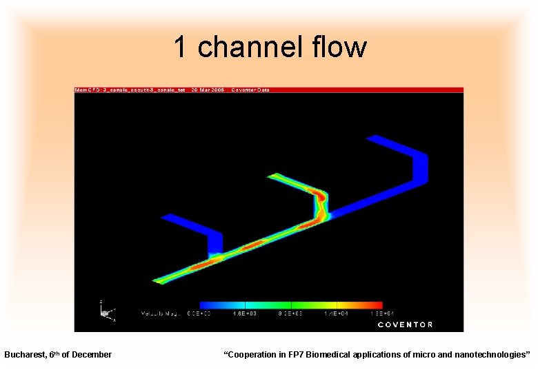 1 channel flow Bucharest, 6 th of December “Cooperation in FP 7 Biomedical applications