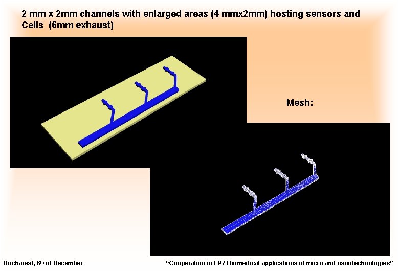 2 mm x 2 mm channels with enlarged areas (4 mmx 2 mm) hosting