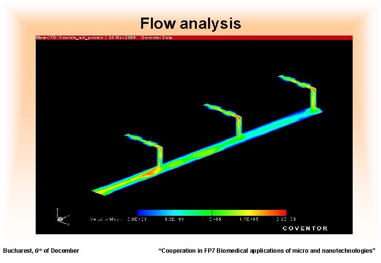 Flow analysis Bucharest, 6 th of December “Cooperation in FP 7 Biomedical applications of