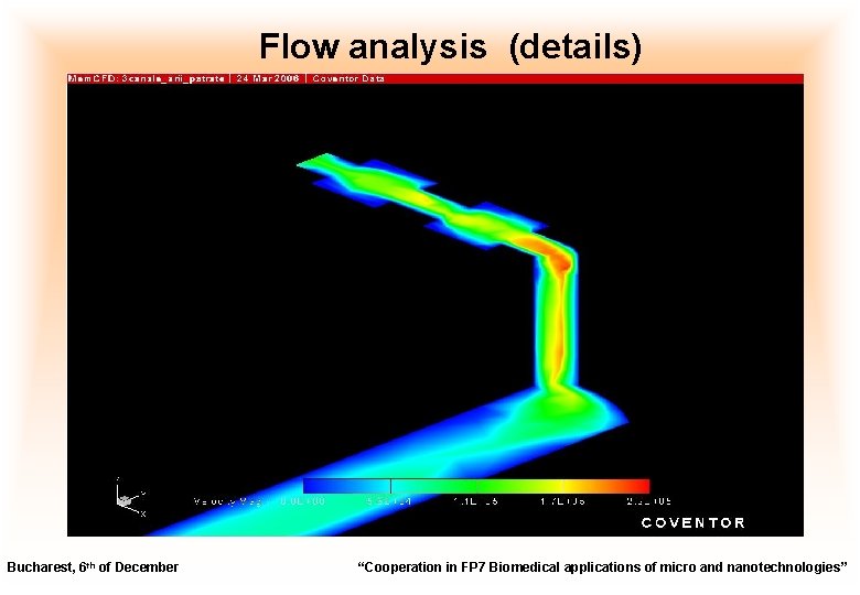 Flow analysis (details) Bucharest, 6 th of December “Cooperation in FP 7 Biomedical applications