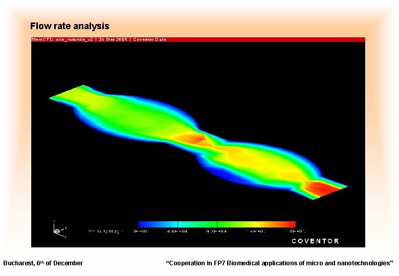 Flow rate analysis Bucharest, 6 th of December “Cooperation in FP 7 Biomedical applications