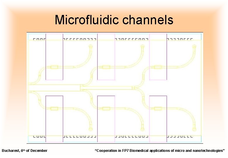 Microfluidic channels Bucharest, 6 th of December “Cooperation in FP 7 Biomedical applications of