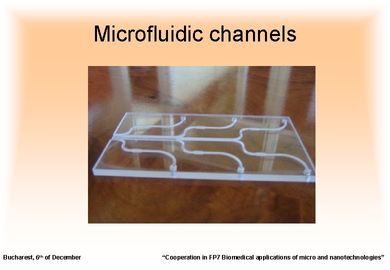 Microfluidic channels Bucharest, 6 th of December “Cooperation in FP 7 Biomedical applications of