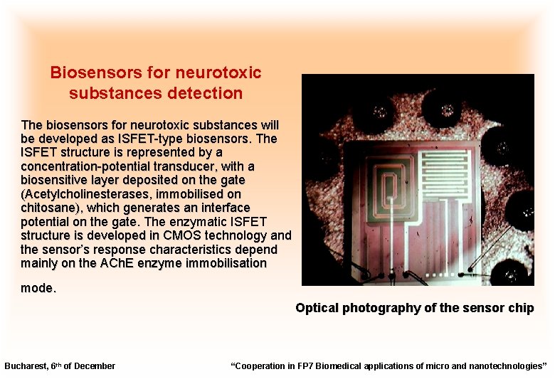 Biosensors for neurotoxic substances detection The biosensors for neurotoxic substances will be developed as