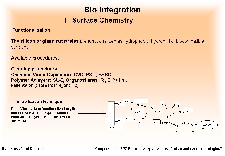 Bio integration I. Surface Chemistry Functionalization The silicon or glass substrates are functionalized as