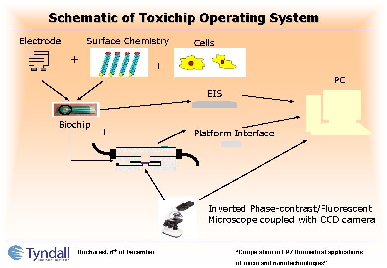 Schematic of Toxichip Operating System Electrode Surface Chemistry + Cells + PC EIS Biochip