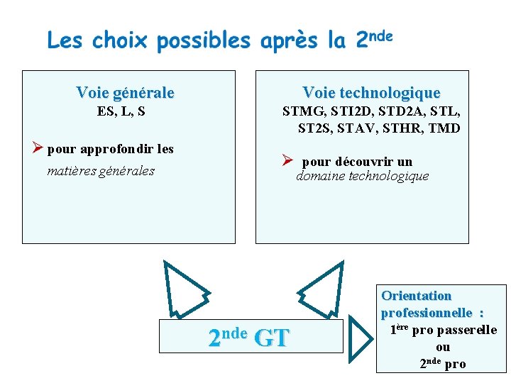 Voie générale ES, L, S pour approfondir les matières générales Voie technologique STMG, STI