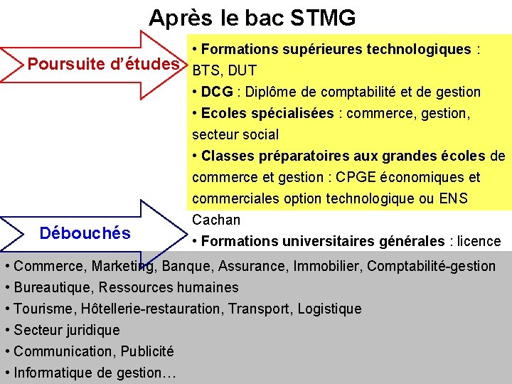 Après le bac STMG • Formations supérieures technologiques : Poursuite d’études BTS, DUT •