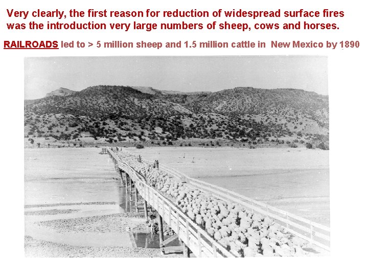 Very clearly, the first reason for reduction of widespread surface fires was the introduction