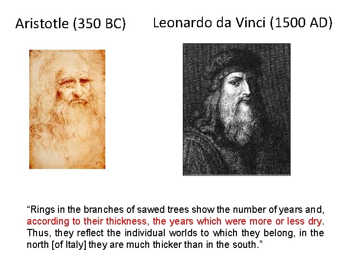 Aristotle (350 BC) Leonardo da Vinci (1500 AD) “Rings in the branches of sawed