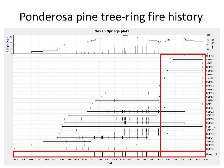 Ponderosa pine tree-ring fire history 