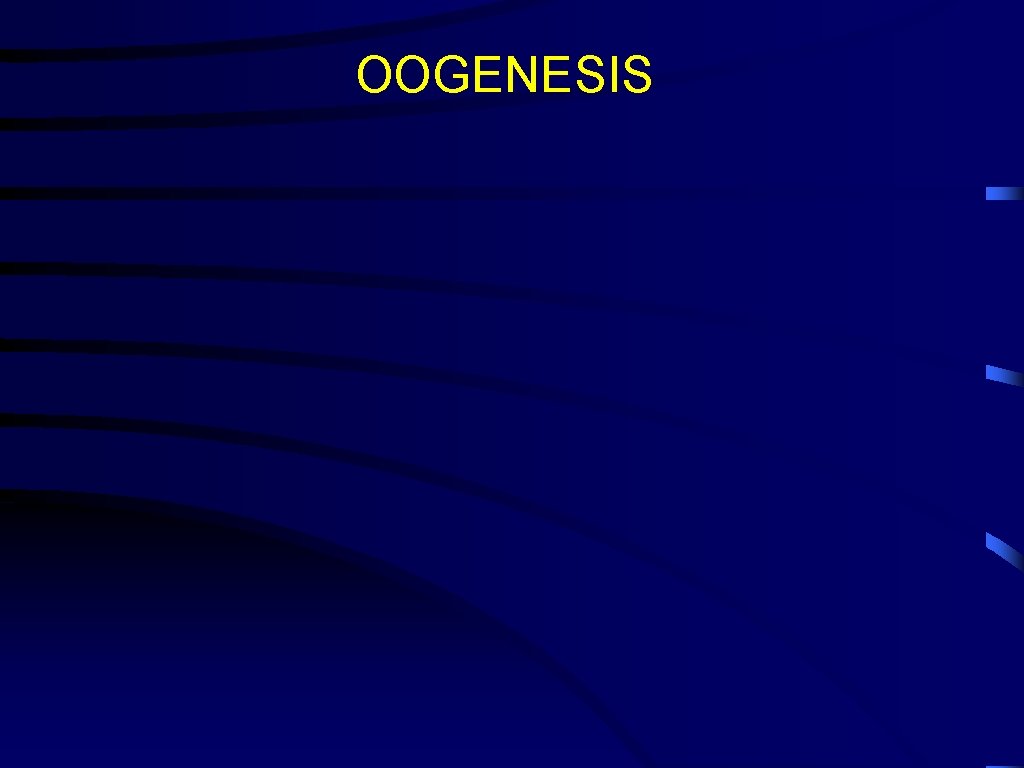 OOGENESIS 