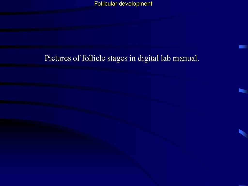 Follicular development Pictures of follicle stages in digital lab manual. 