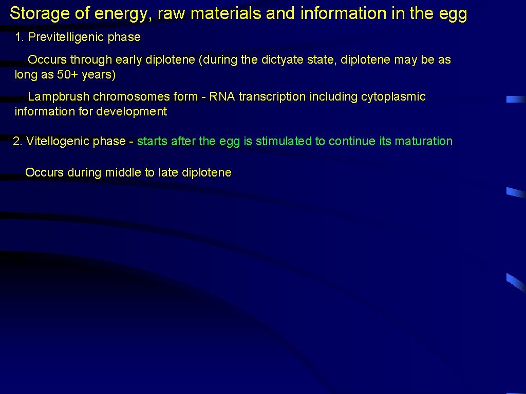 Storage of energy, raw materials and information in the egg 1. Previtelligenic phase Occurs