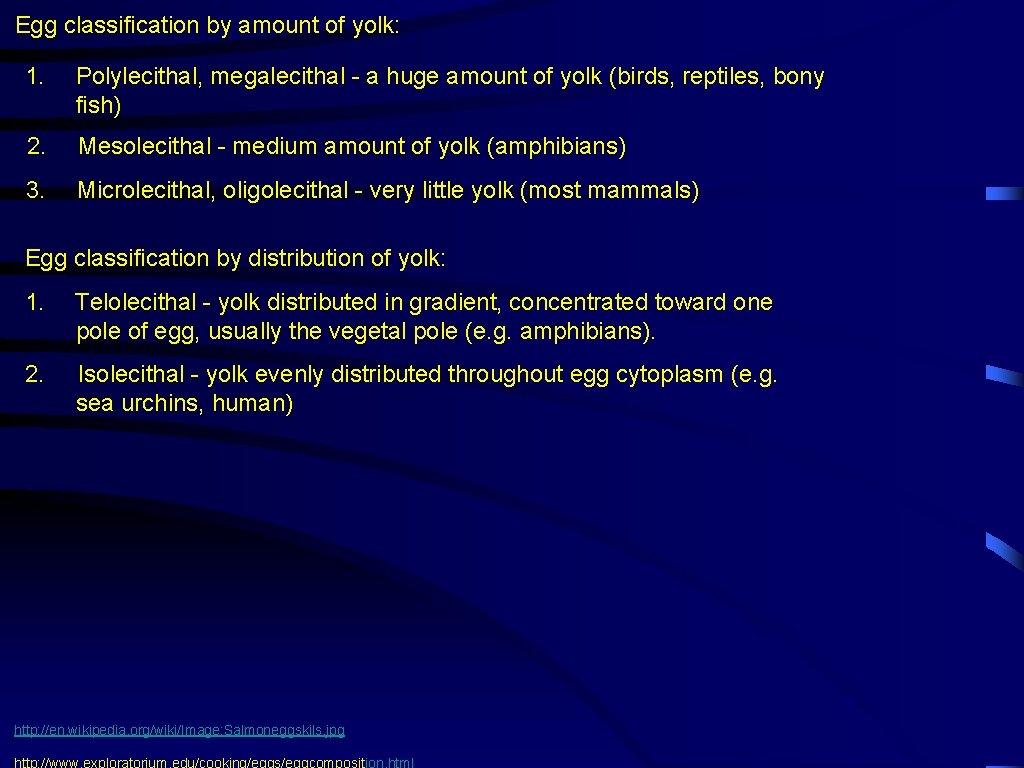 Egg classification by amount of yolk: 1. Polylecithal, megalecithal - a huge amount of