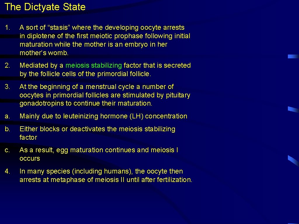 The Dictyate State 1. A sort of “stasis” where the developing oocyte arrests in