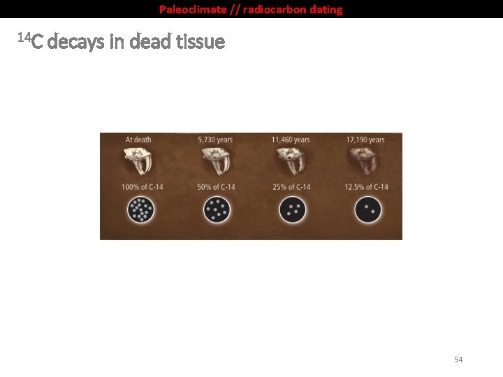 Paleoclimate // radiocarbon dating 14 C decays in dead tissue 54 