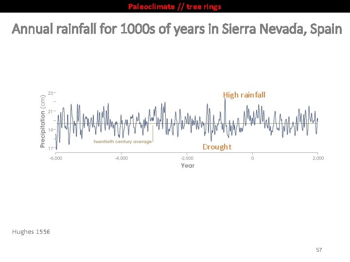 Paleoclimate // tree rings Annual rainfall for 1000 s of years in Sierra Nevada,