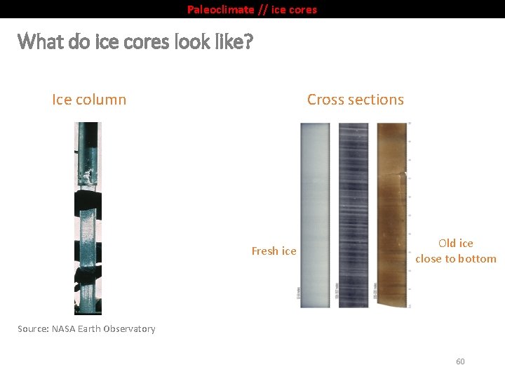 Paleoclimate // ice cores What do ice cores look like? Ice column Cross sections