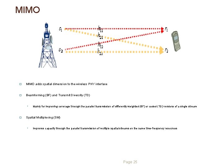 MIMO � MIMO adds spatial dimension to the wireless PHY interface � Beamforming (BF) MIMO � MIMO adds spatial dimension to the wireless PHY interface � Beamforming (BF)