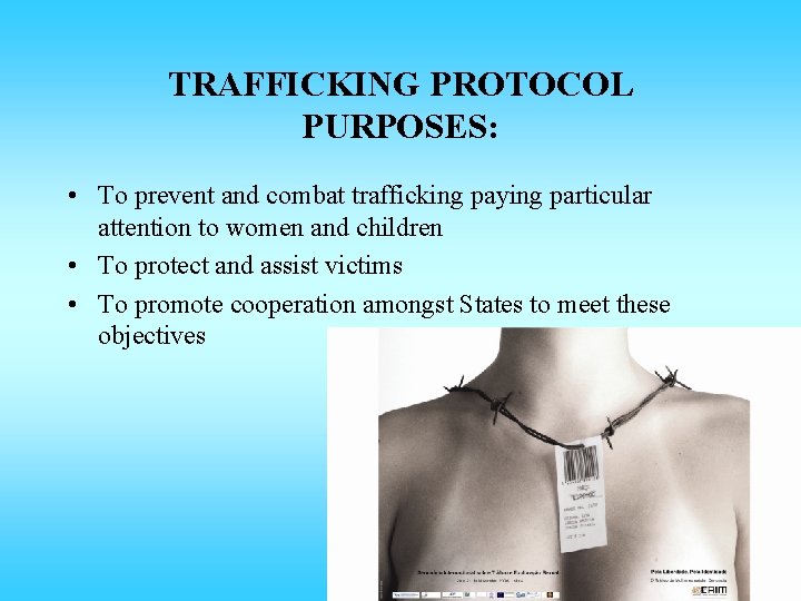TRAFFICKING PROTOCOL PURPOSES: • To prevent and combat trafficking paying particular attention to women TRAFFICKING PROTOCOL PURPOSES: • To prevent and combat trafficking paying particular attention to women