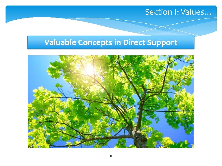 Section I: Values… Valuable Concepts in Direct Support 17 