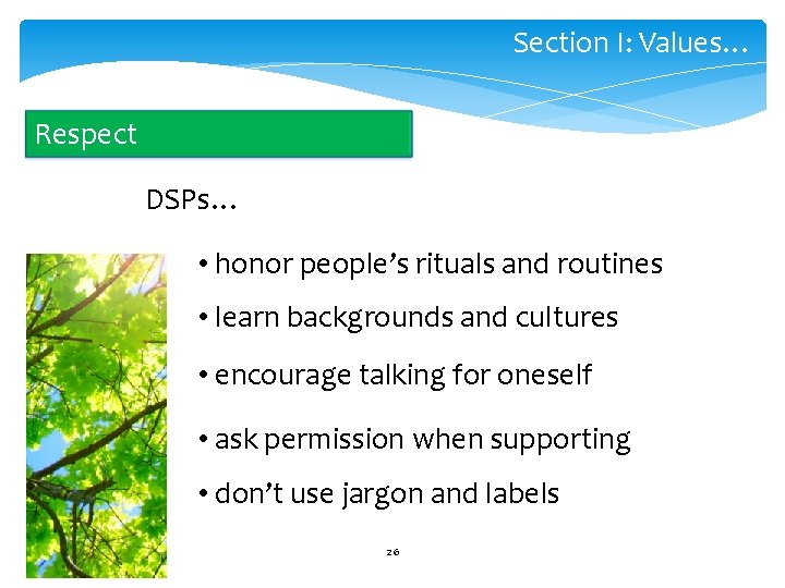 Section I: Values… Respect DSPs… • honor people’s rituals and routines • learn backgrounds