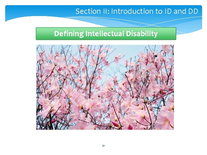 Section II: Introduction to ID and DD Defining Intellectual Disability 31 