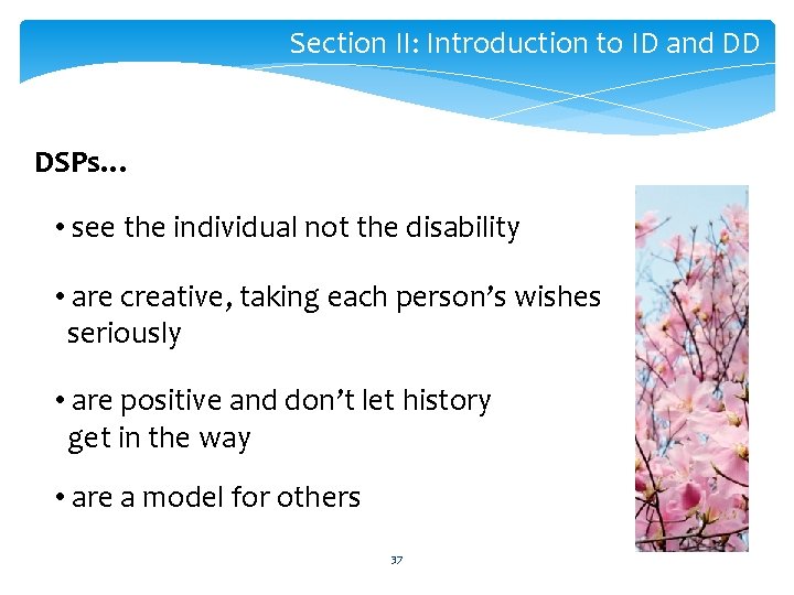 Section II: Introduction to ID and DD DSPs… • see the individual not the