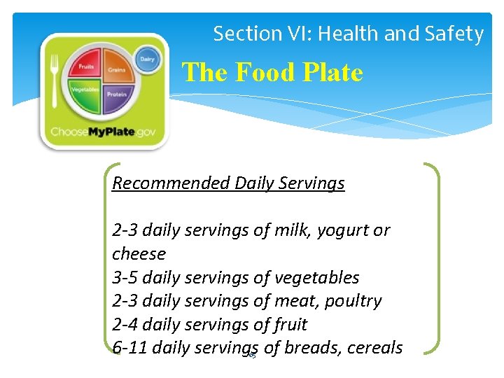 Section VI: Health and Safety The Food Plate Recommended Daily Servings 2 -3 daily