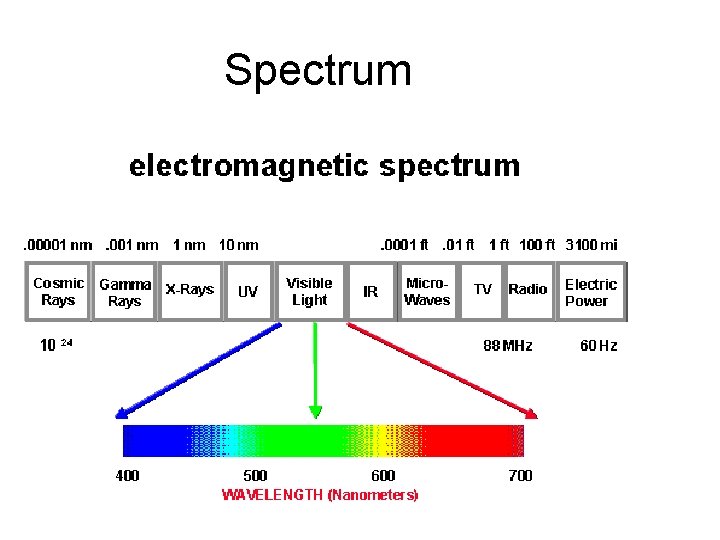 Spectrum 